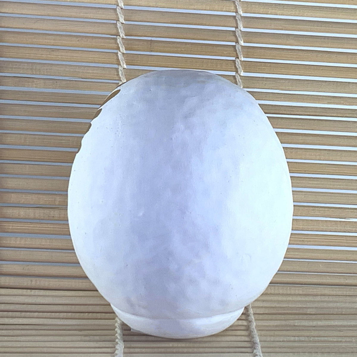 Daruma Moyen Modèle