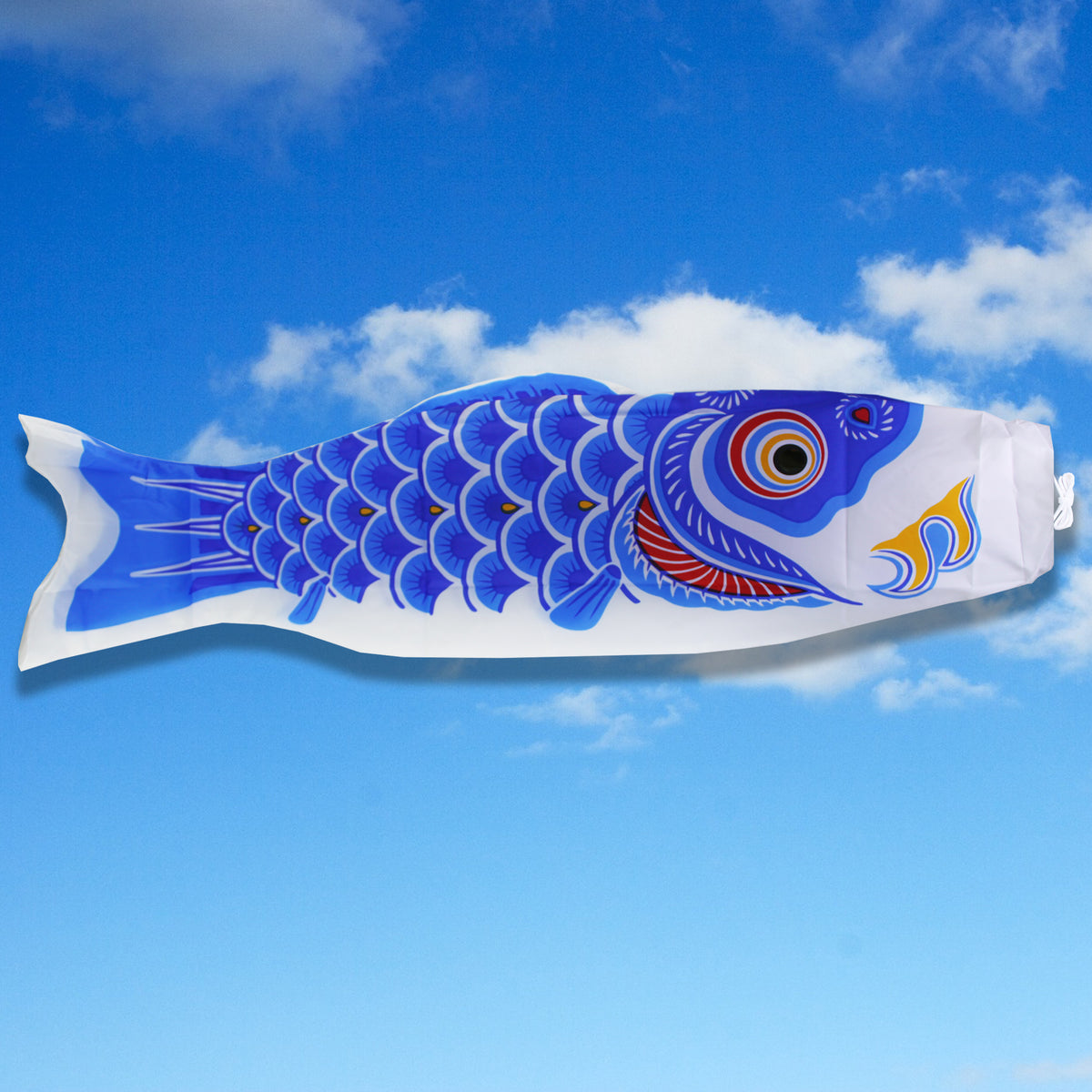 Koinobori Moyen Modèle