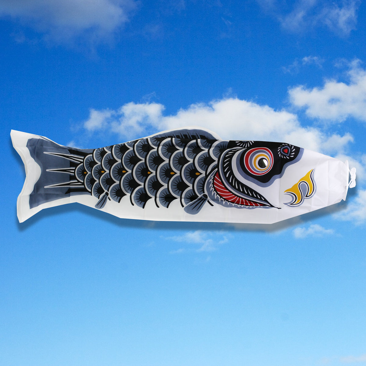 Koinobori Moyen Modèle