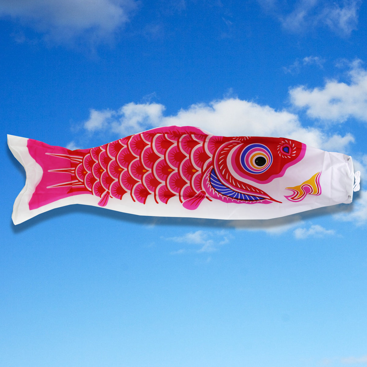 Koinobori Moyen Modèle